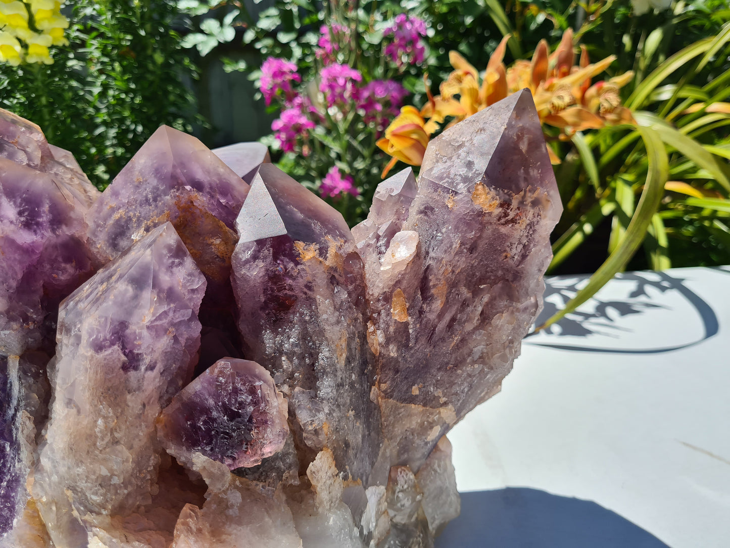 Huge 13kg Ametrine Crystal Cluster with Large Cathedral Points