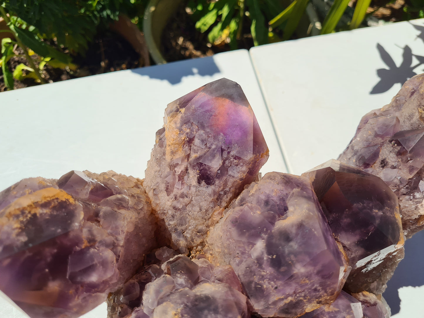 Huge 13kg Ametrine Crystal Cluster with Large Cathedral Points