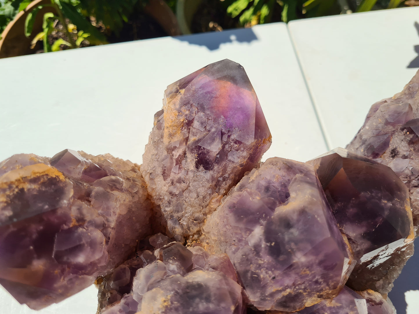 Huge 13kg Ametrine Crystal Cluster with Large Cathedral Points