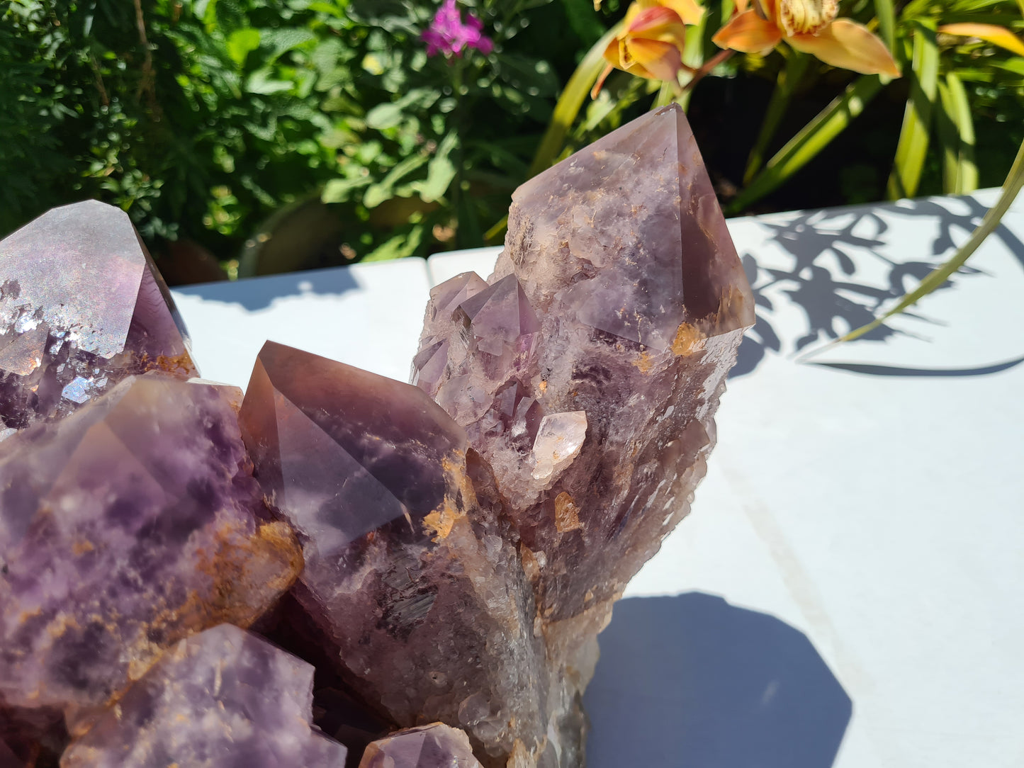 Huge 13kg Ametrine Crystal Cluster with Large Cathedral Points