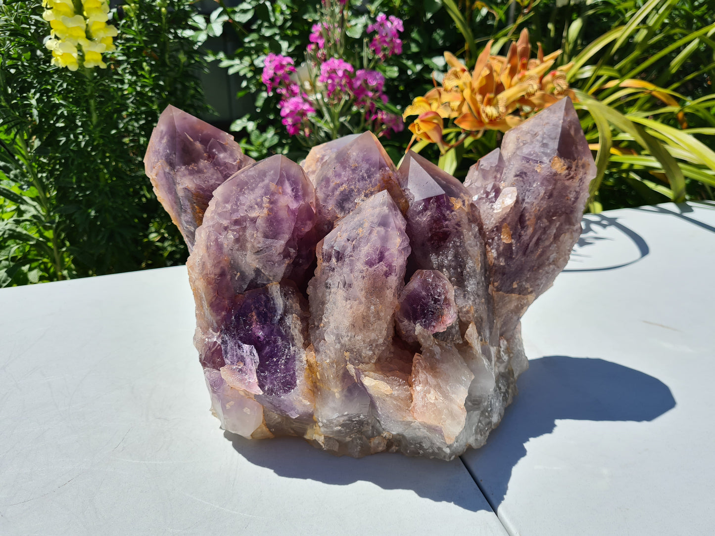Huge 13kg Ametrine Crystal Cluster with Large Cathedral Points