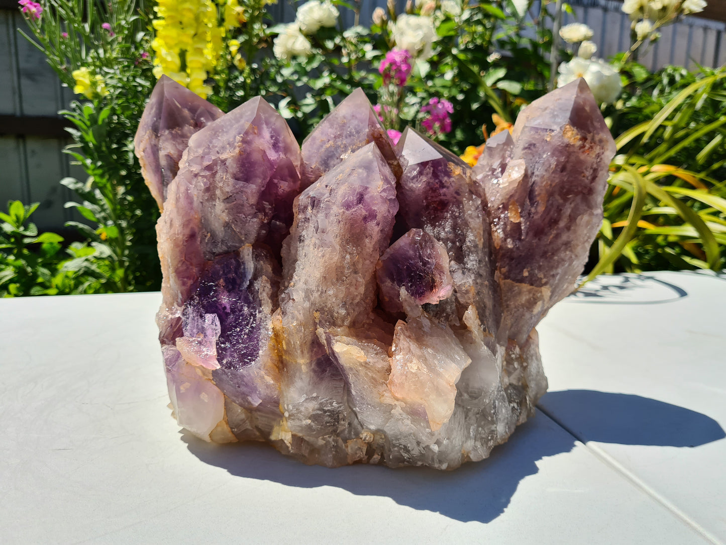Huge 13kg Ametrine Crystal Cluster with Large Cathedral Points