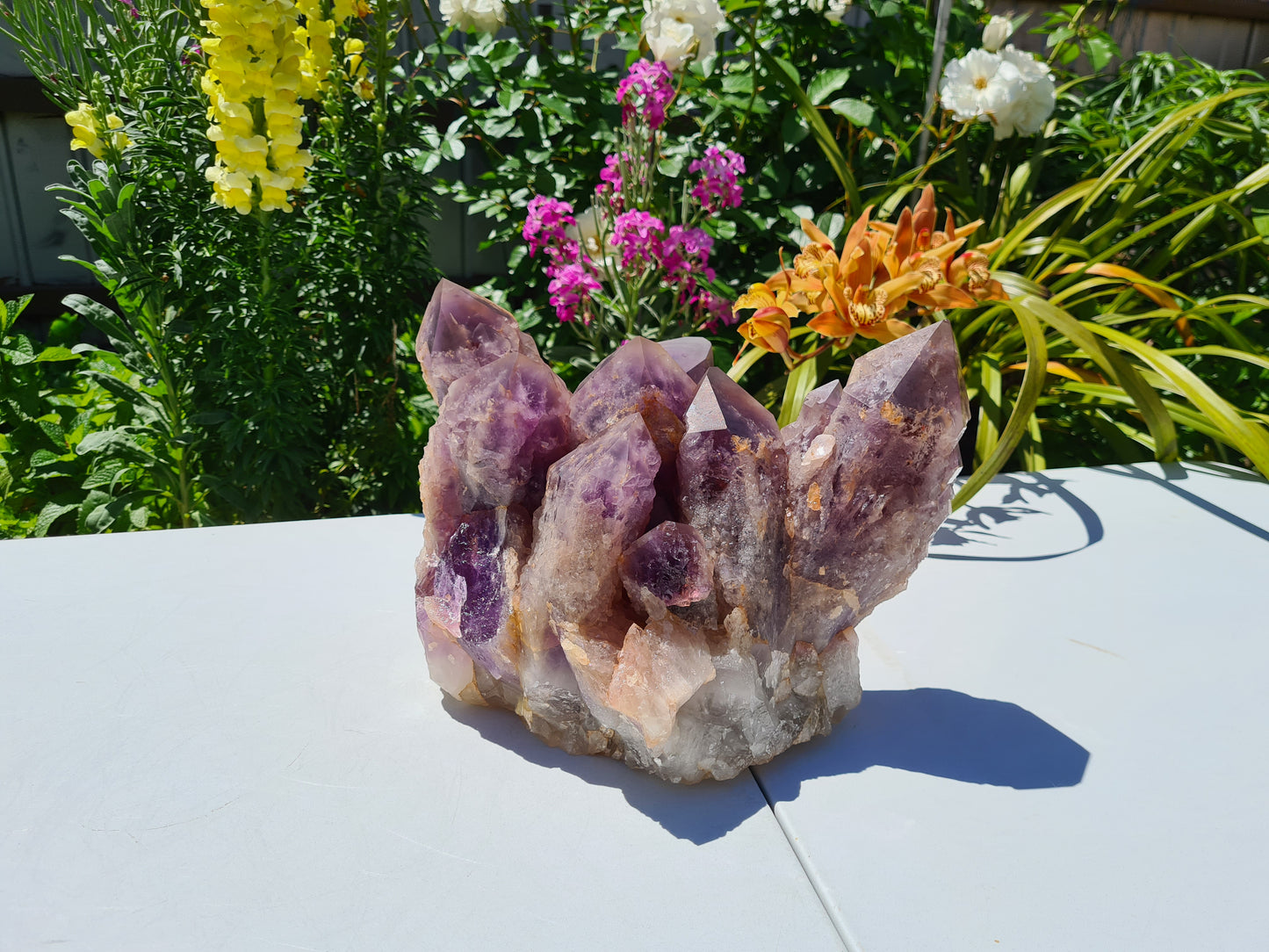 Huge 13kg Ametrine Crystal Cluster with Large Cathedral Points