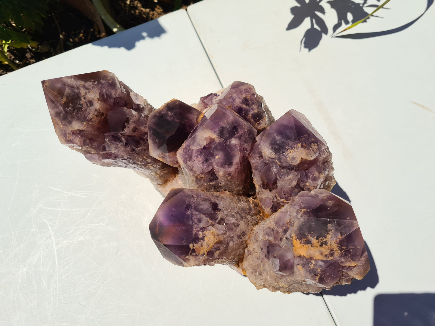 Huge 13kg Ametrine Crystal Cluster with Large Cathedral Points