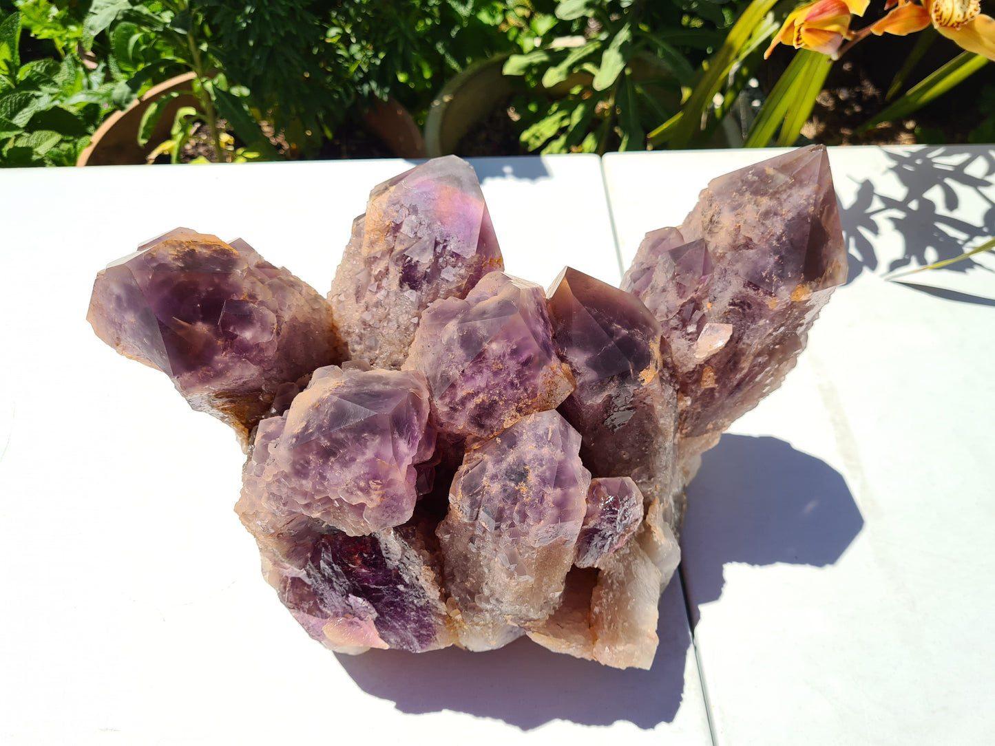 Huge 13kg Ametrine Crystal Cluster with Large Cathedral Points