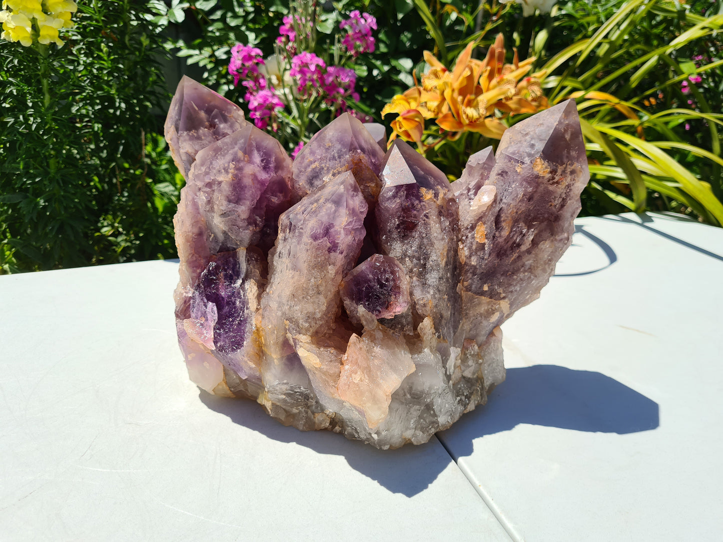 Huge 13kg Ametrine Crystal Cluster with Large Cathedral Points
