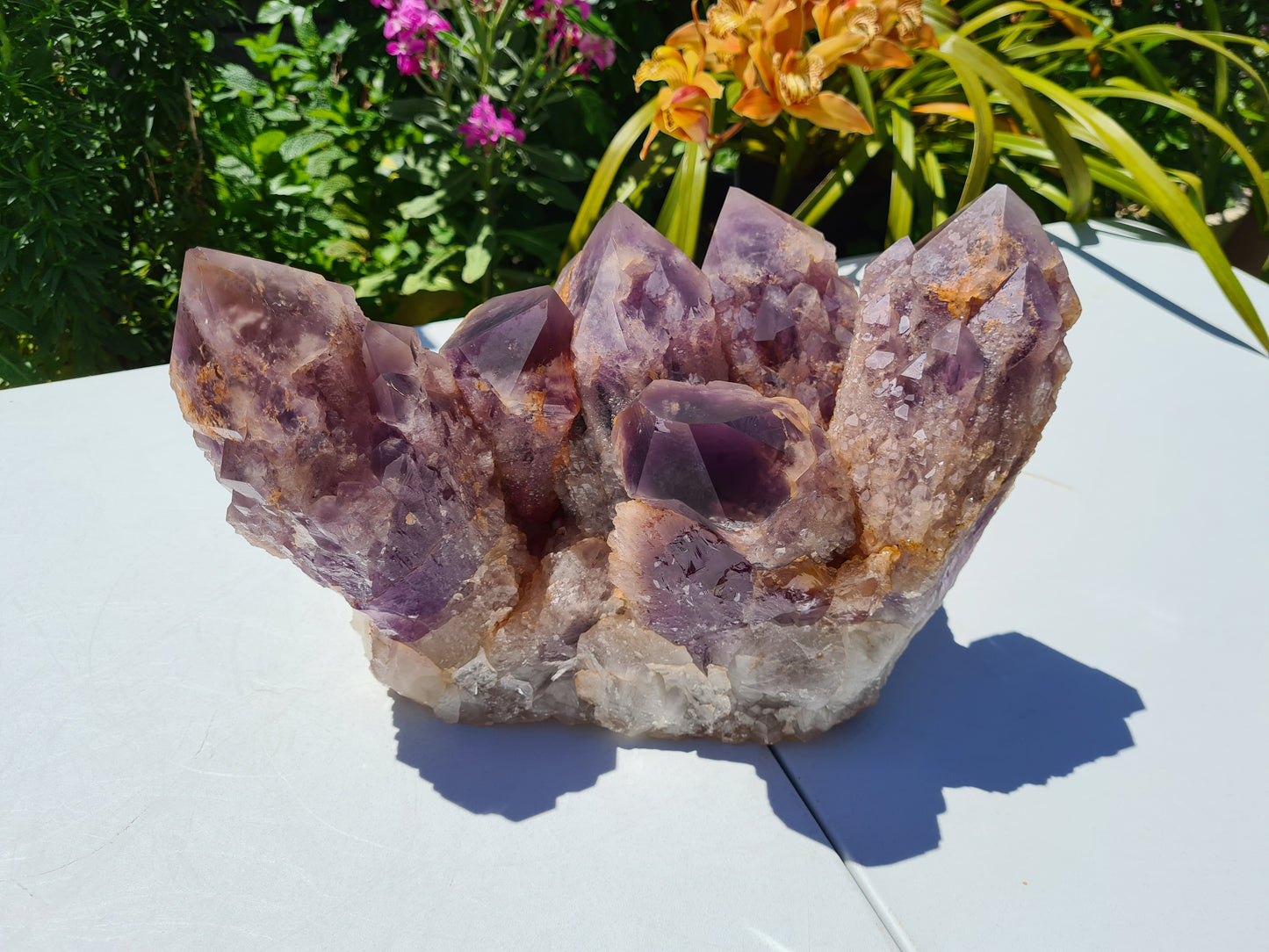 Huge 13kg Ametrine Crystal Cluster with Large Cathedral Points