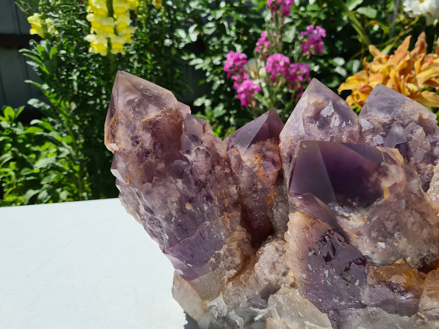 Huge 13kg Ametrine Crystal Cluster with Large Cathedral Points