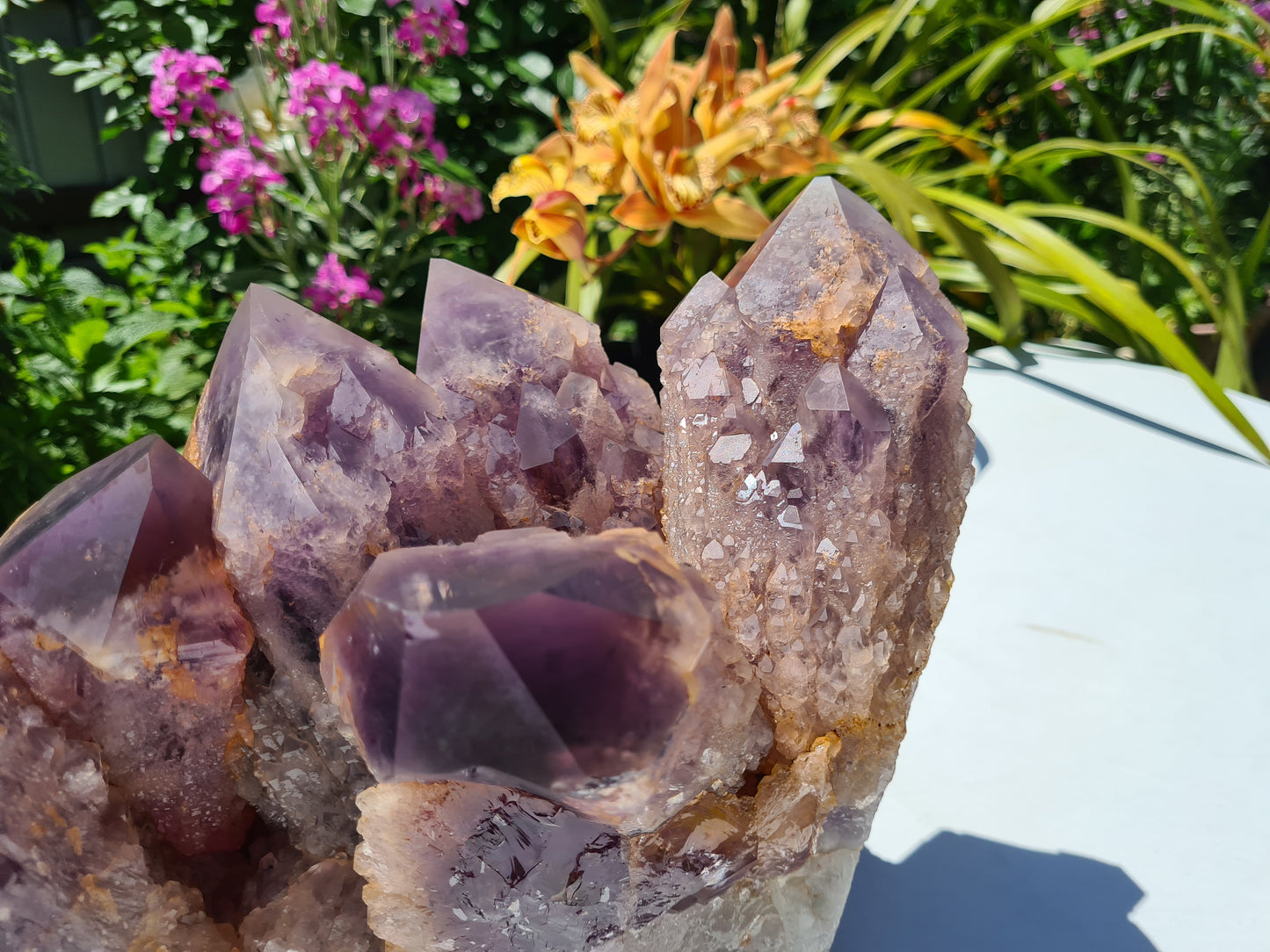 Huge 13kg Ametrine Crystal Cluster with Large Cathedral Points