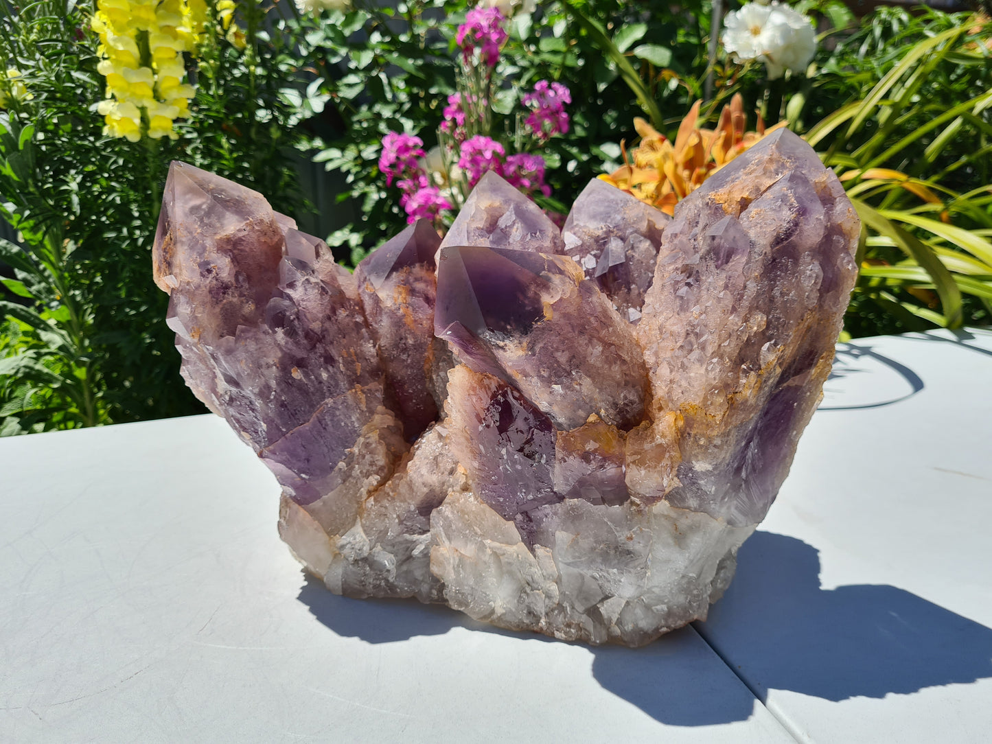 Huge 13kg Ametrine Crystal Cluster with Large Cathedral Points