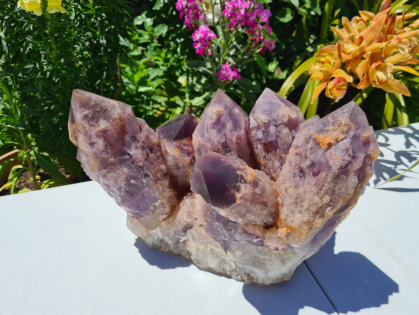 Huge 13kg Ametrine Crystal Cluster with Large Cathedral Points