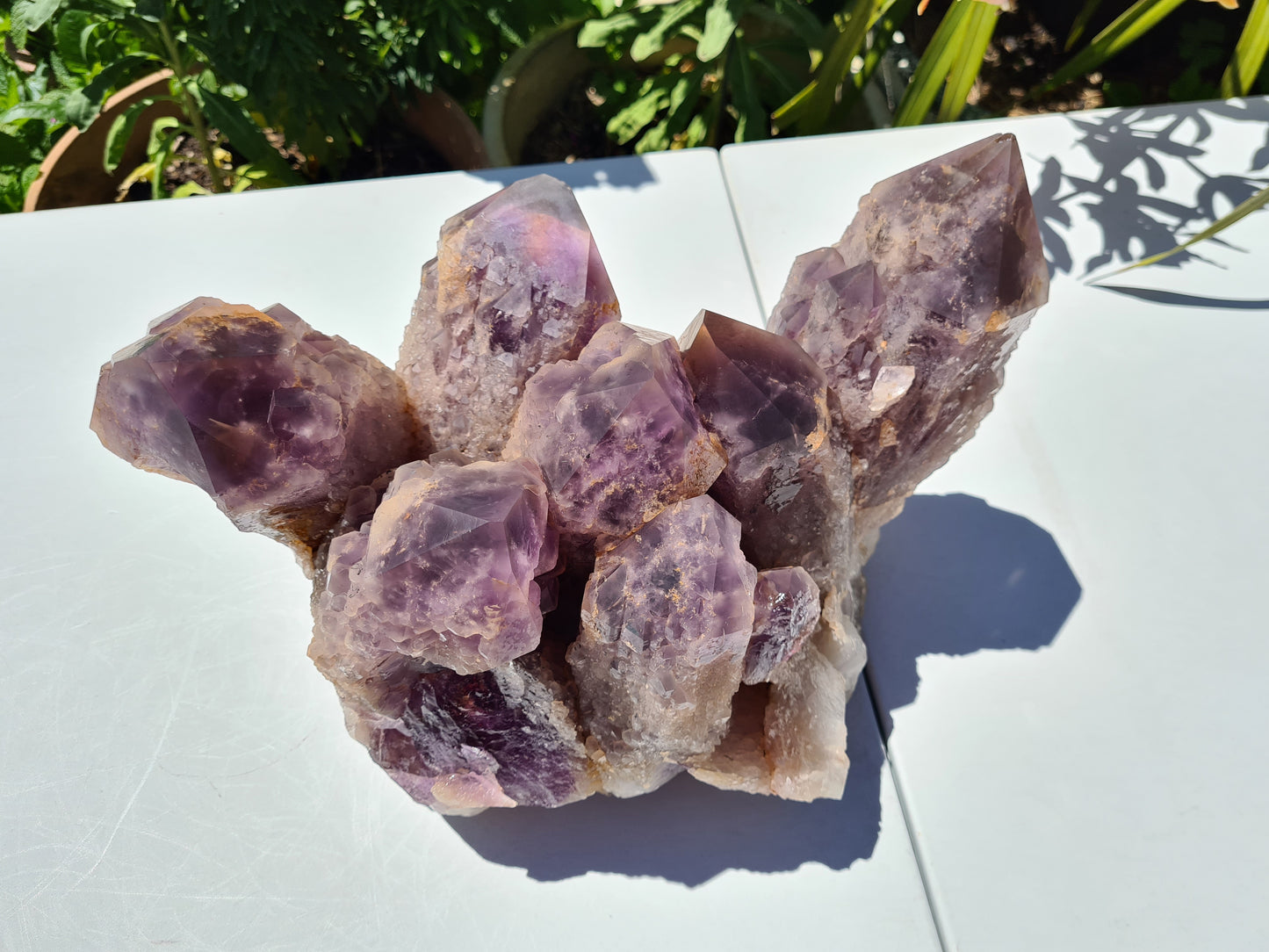 Huge 13kg Ametrine Crystal Cluster with Large Cathedral Points