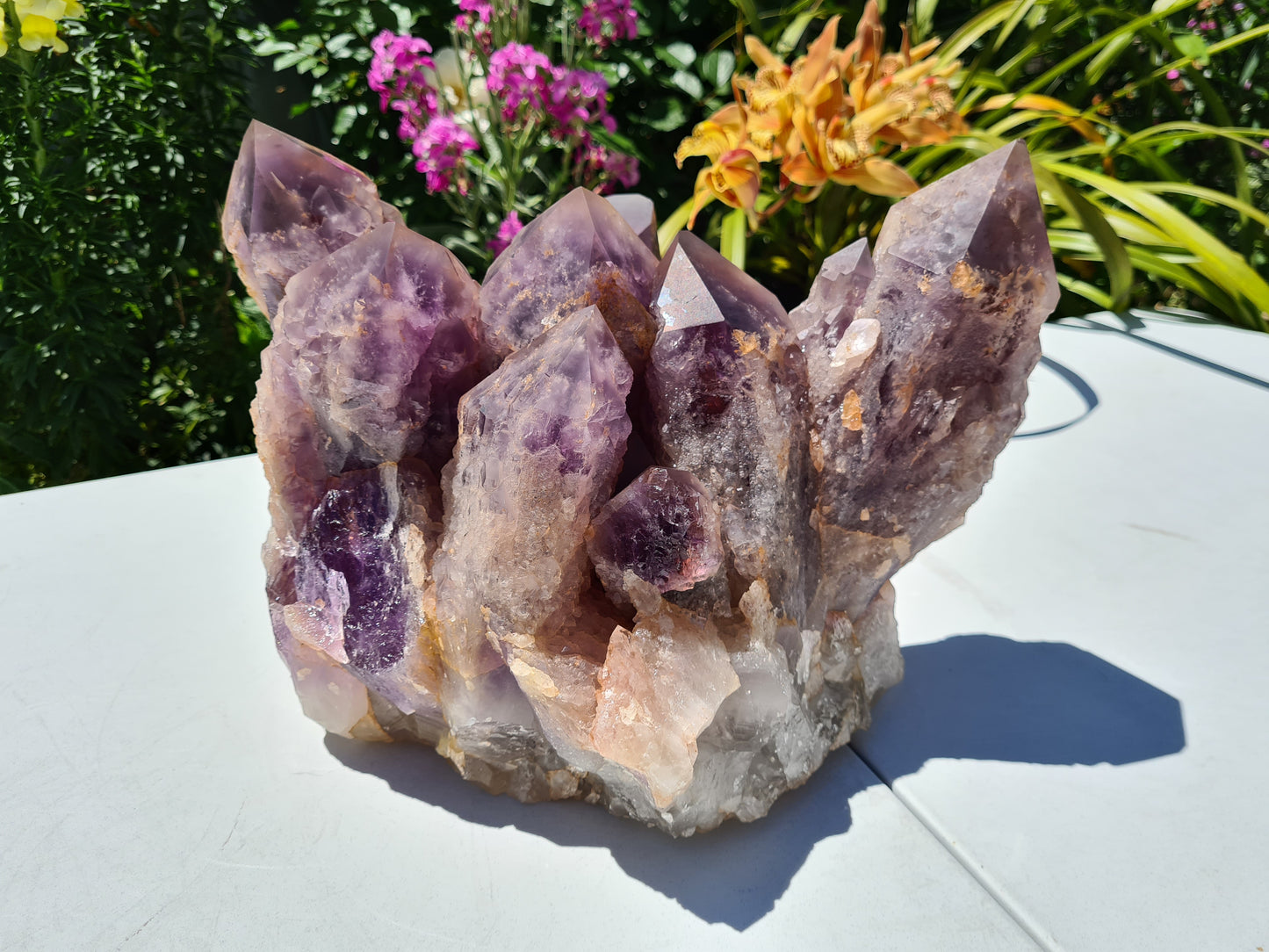 Huge 13kg Ametrine Crystal Cluster with Large Cathedral Points