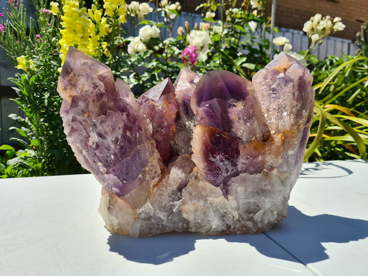 Huge 13kg Ametrine Crystal Cluster with Large Cathedral Points