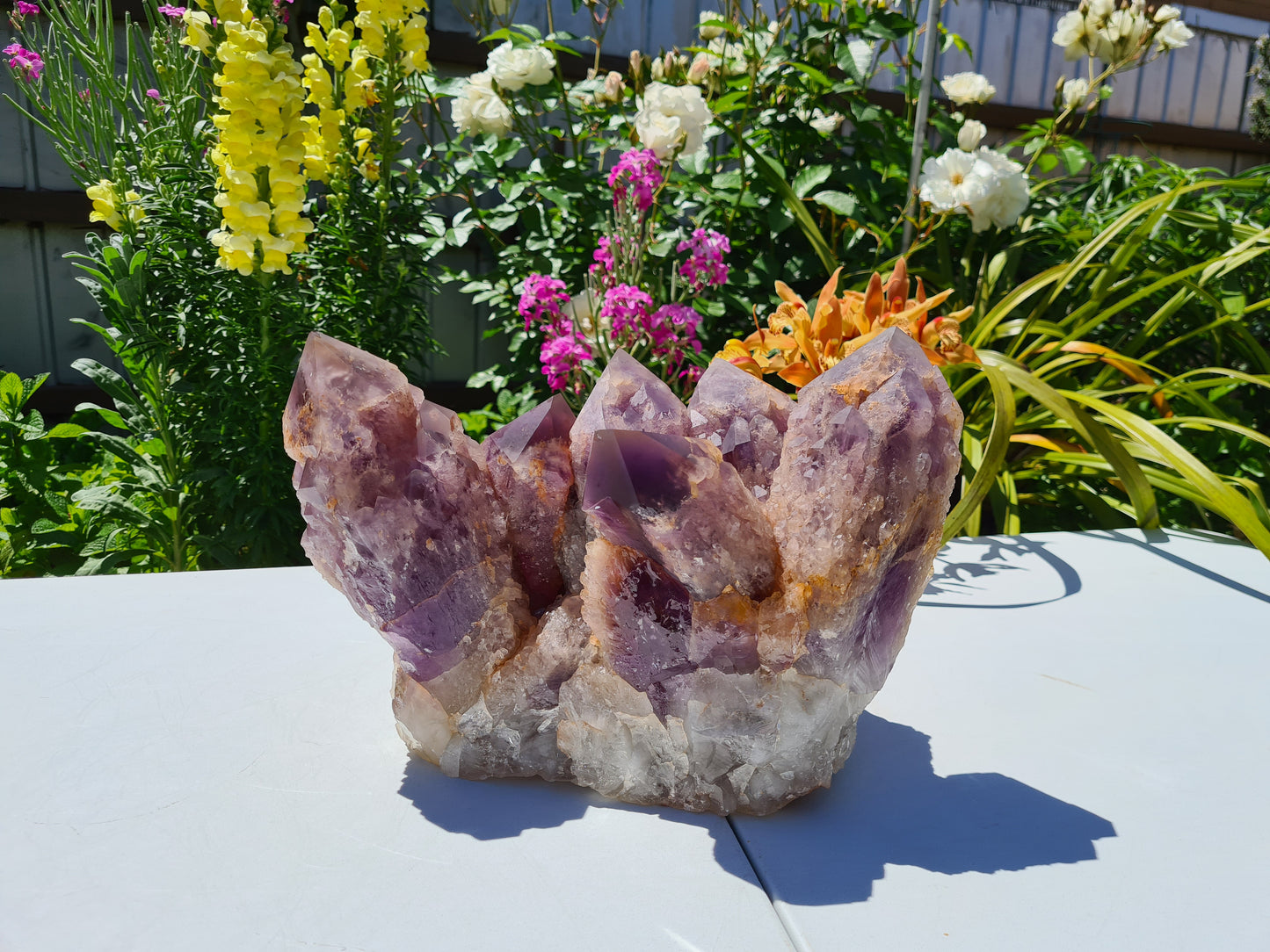 Huge 13kg Ametrine Crystal Cluster with Large Cathedral Points