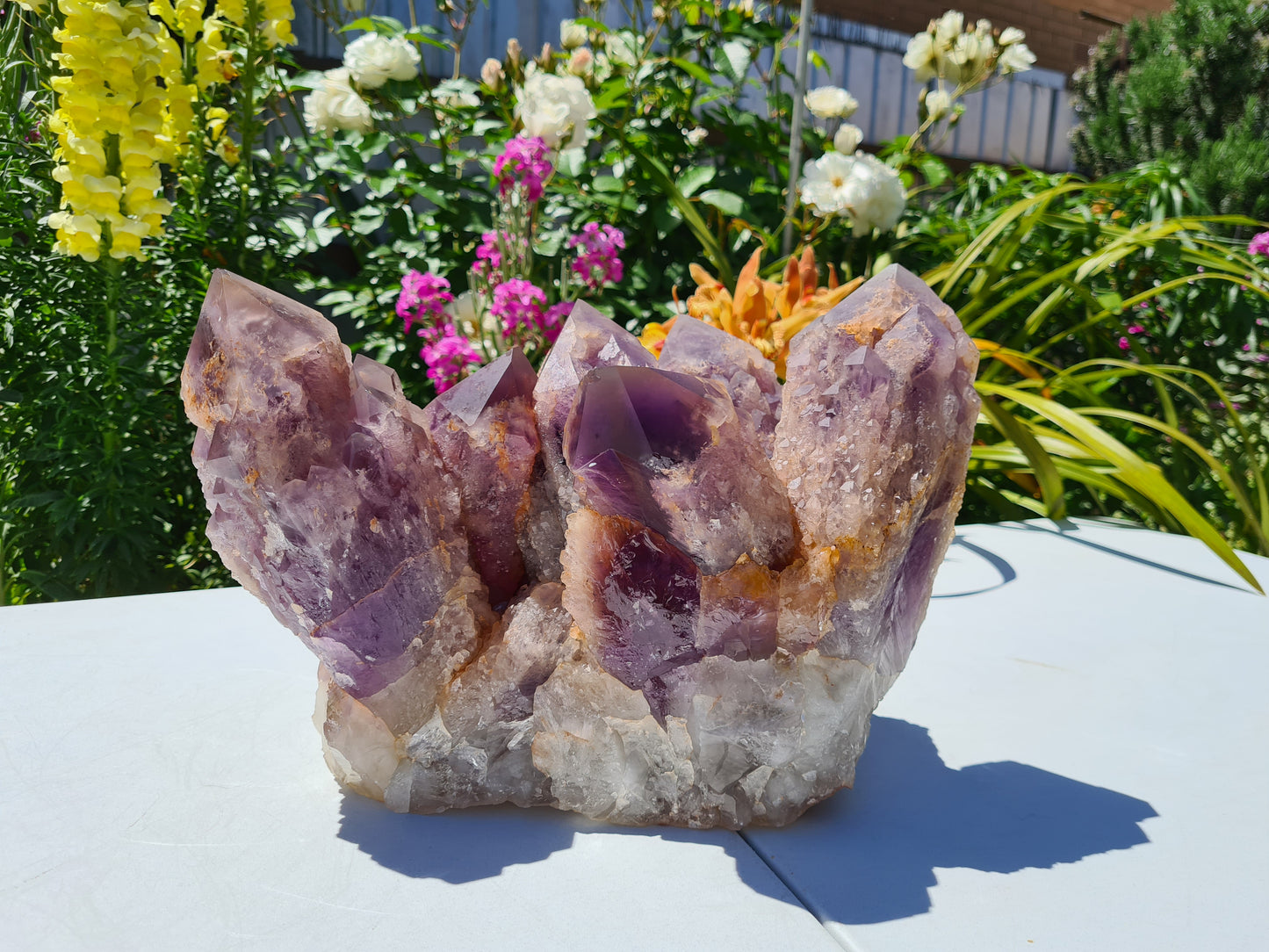 Huge 13kg Ametrine Crystal Cluster with Large Cathedral Points