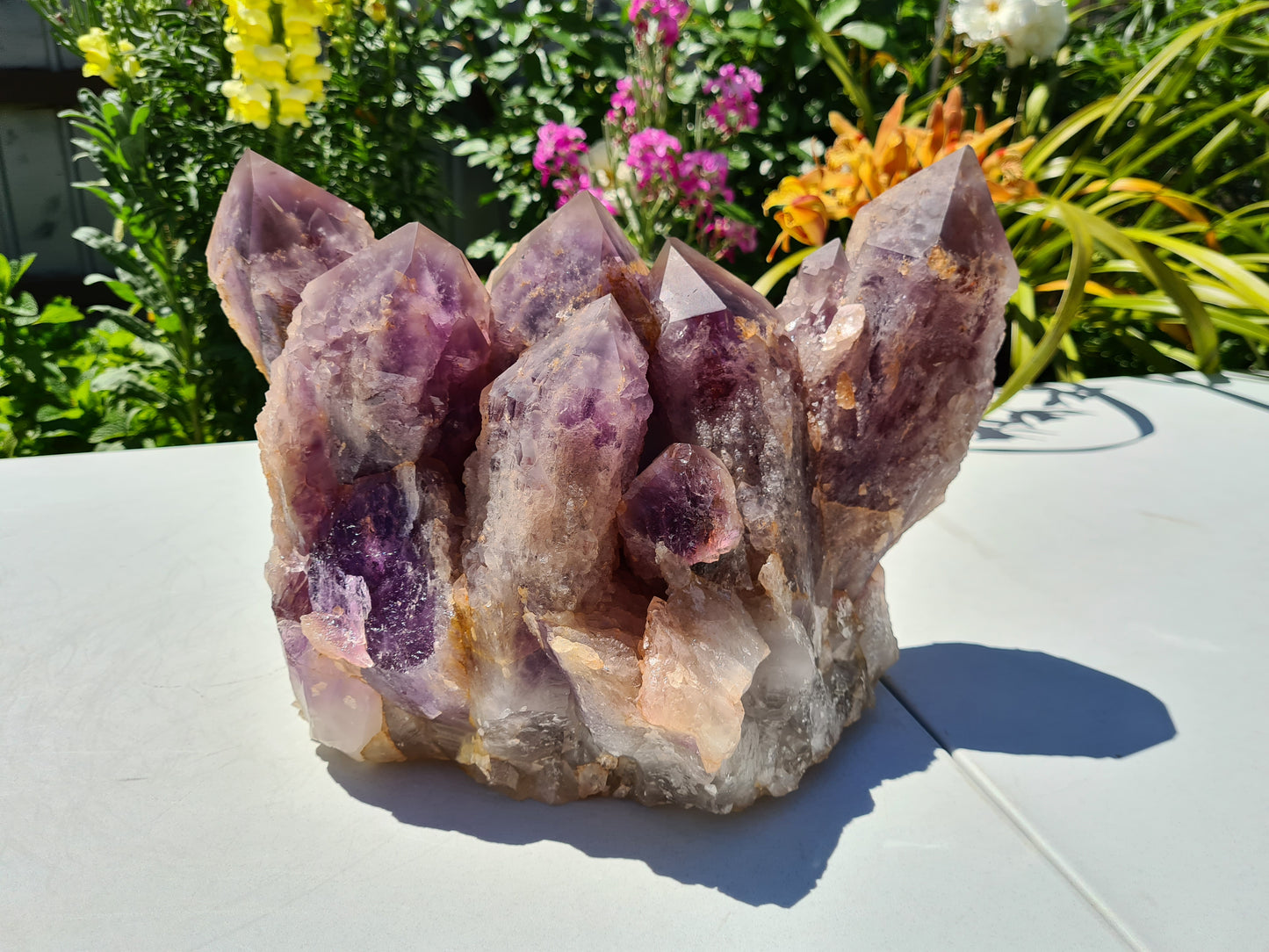 Huge 13kg Ametrine Crystal Cluster with Large Cathedral Points