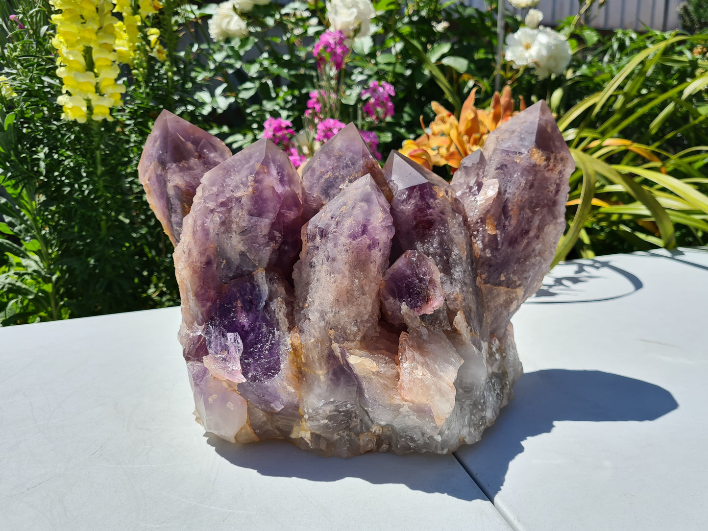 Huge 13kg Ametrine Crystal Cluster with Large Cathedral Points
