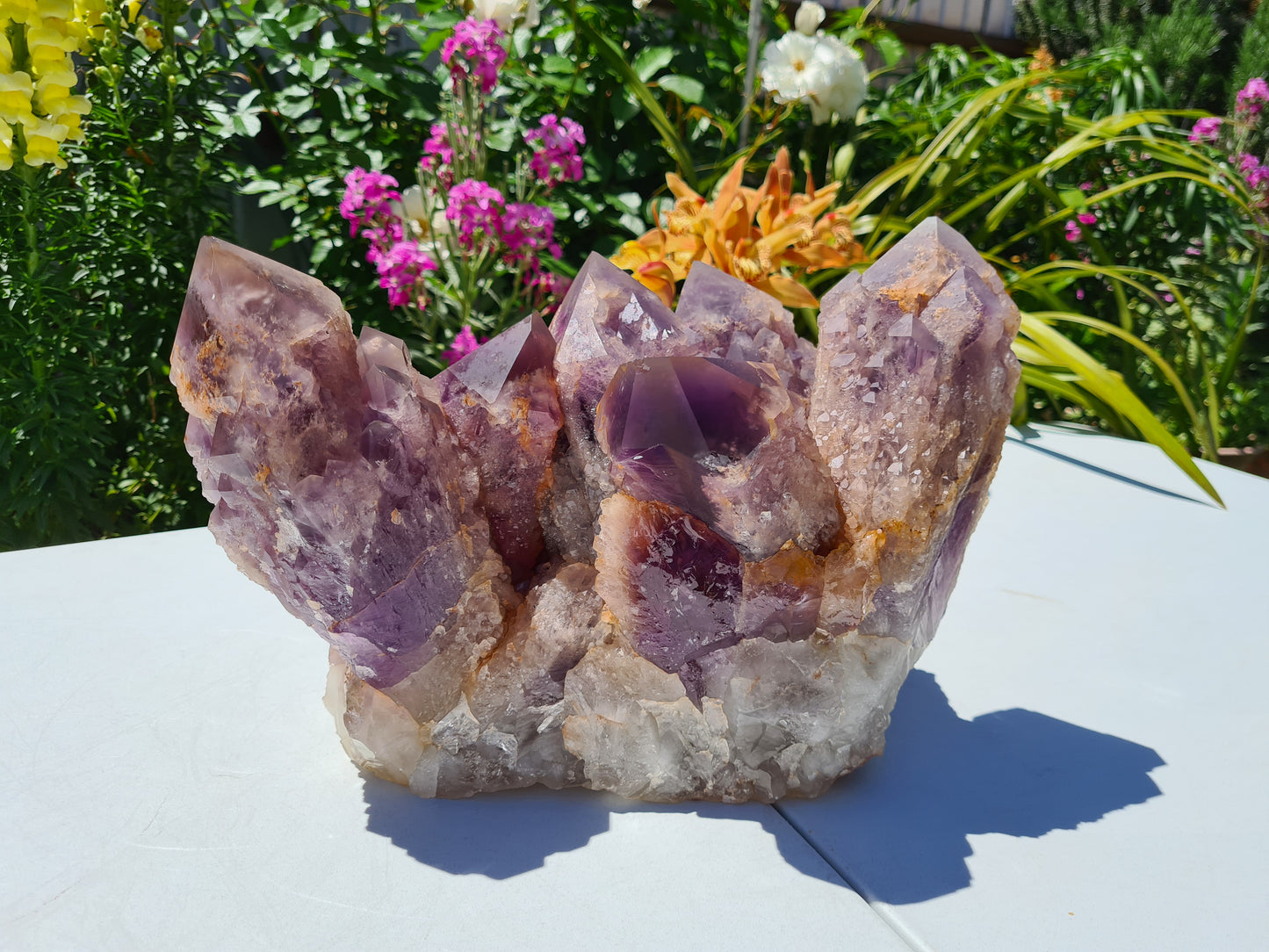 Huge 13kg Ametrine Crystal Cluster with Large Cathedral Points
