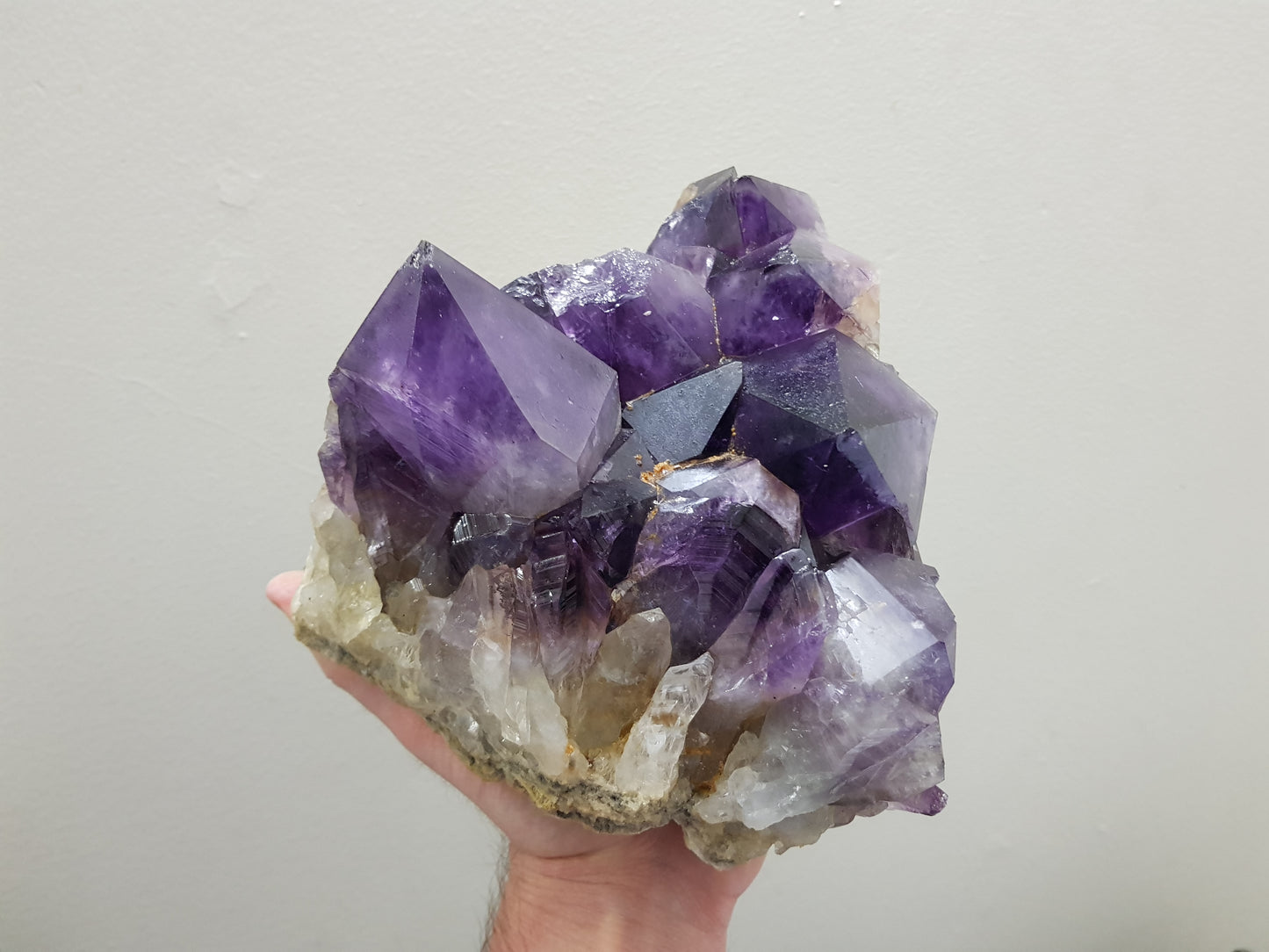 A hand holding an extra large natural amethyst crystal cluster that is approximately 17 centimetres by 16 centimetres in size