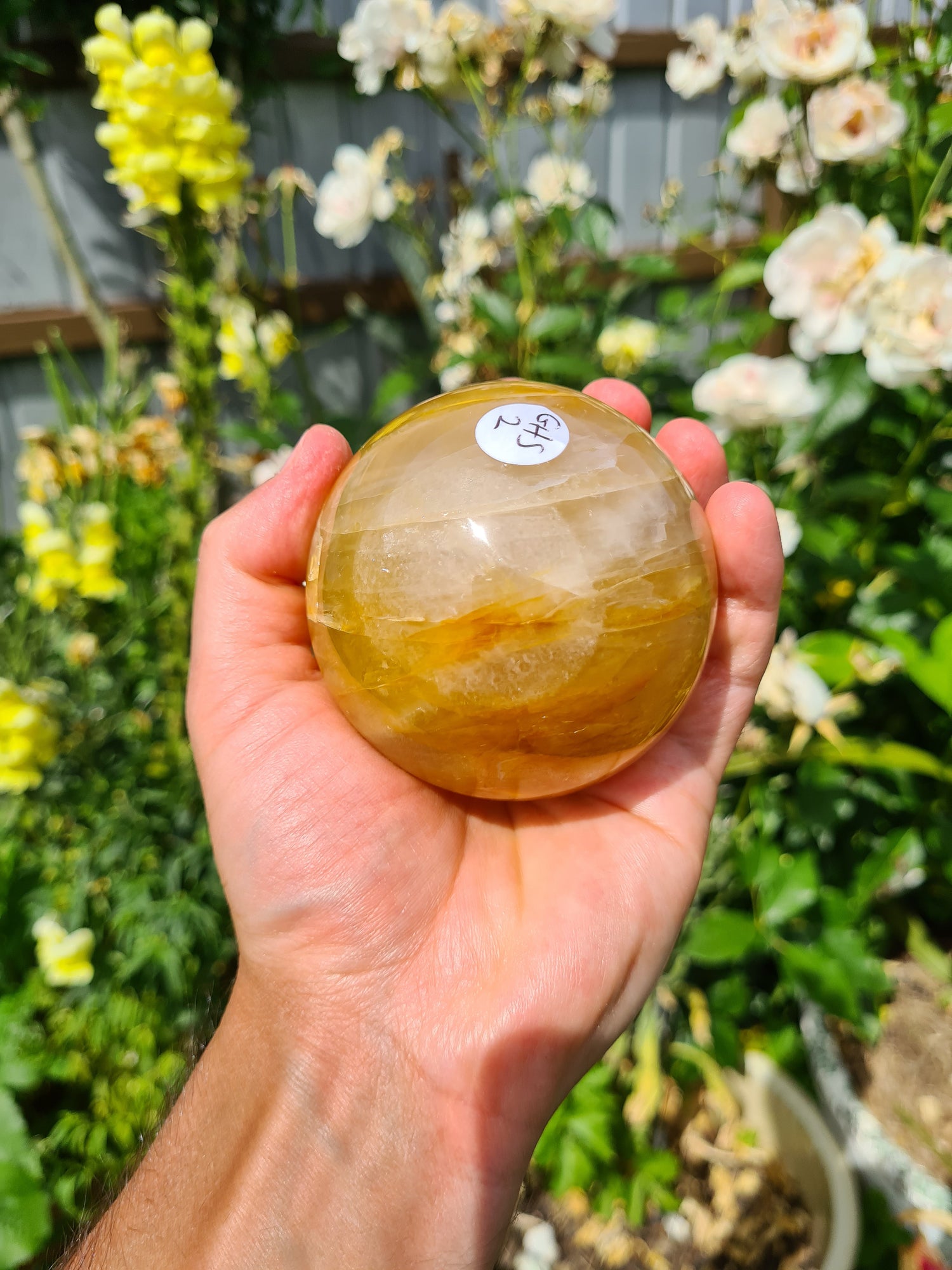 Golden Healer (Hematoid Quartz)