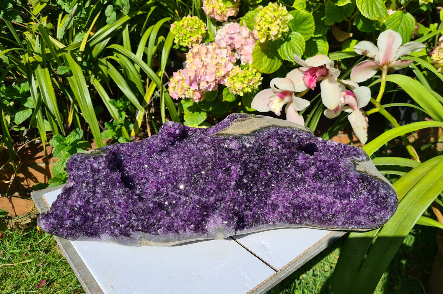 Amethyst Clusters