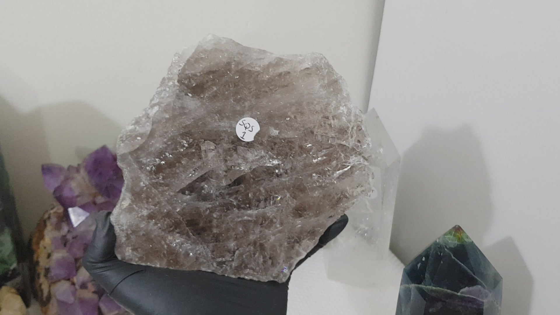A gloved hand holding a large Smoky Quartz crystal slice that is approximately 15.5cm by 14cm in size