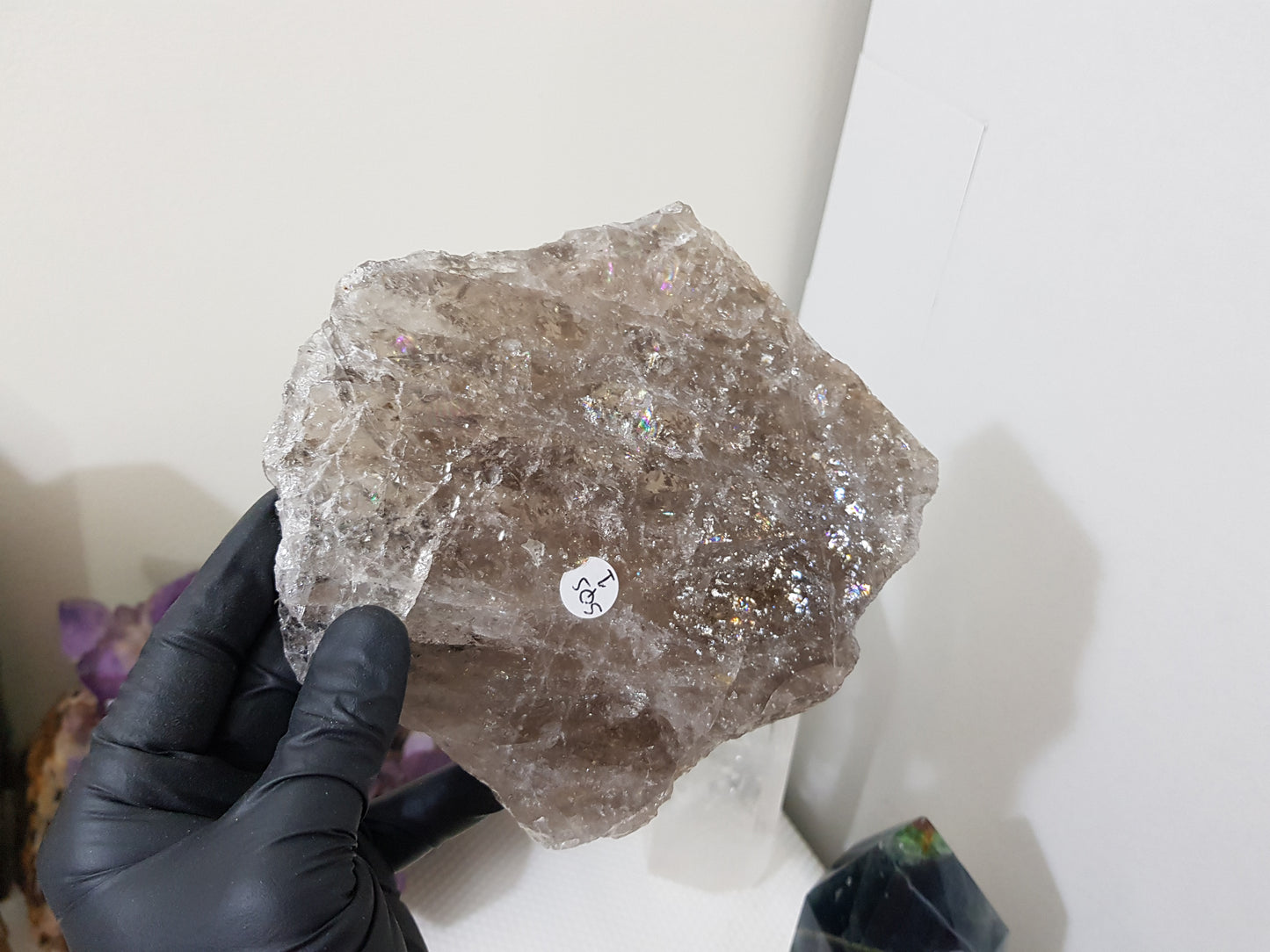 A gloved hand holding a large Smoky Quartz crystal slice that is approximately 15.5cm by 14cm in size