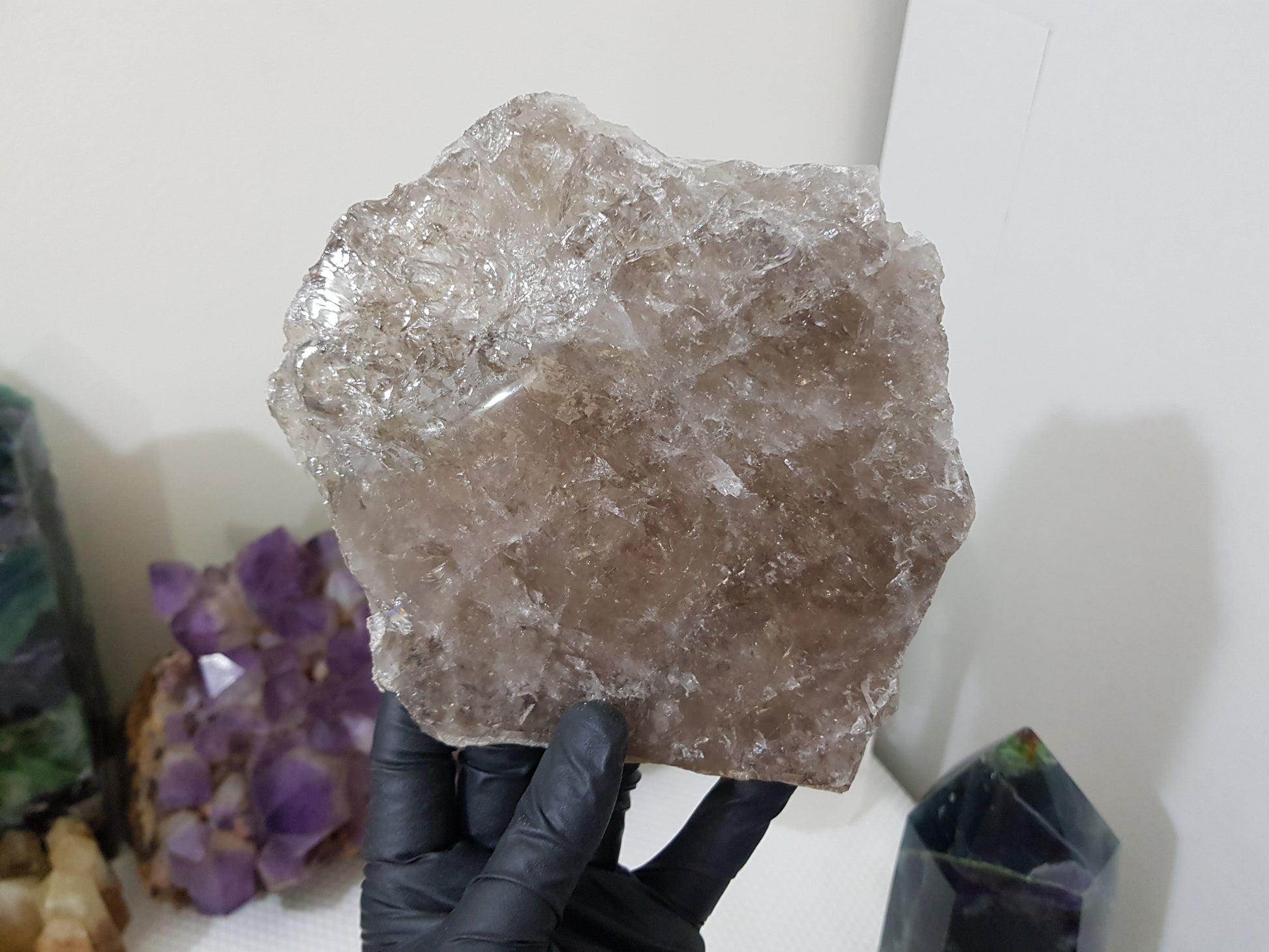 A gloved hand holding a large Smoky Quartz crystal slice that is approximately 15.5cm by 14cm in size