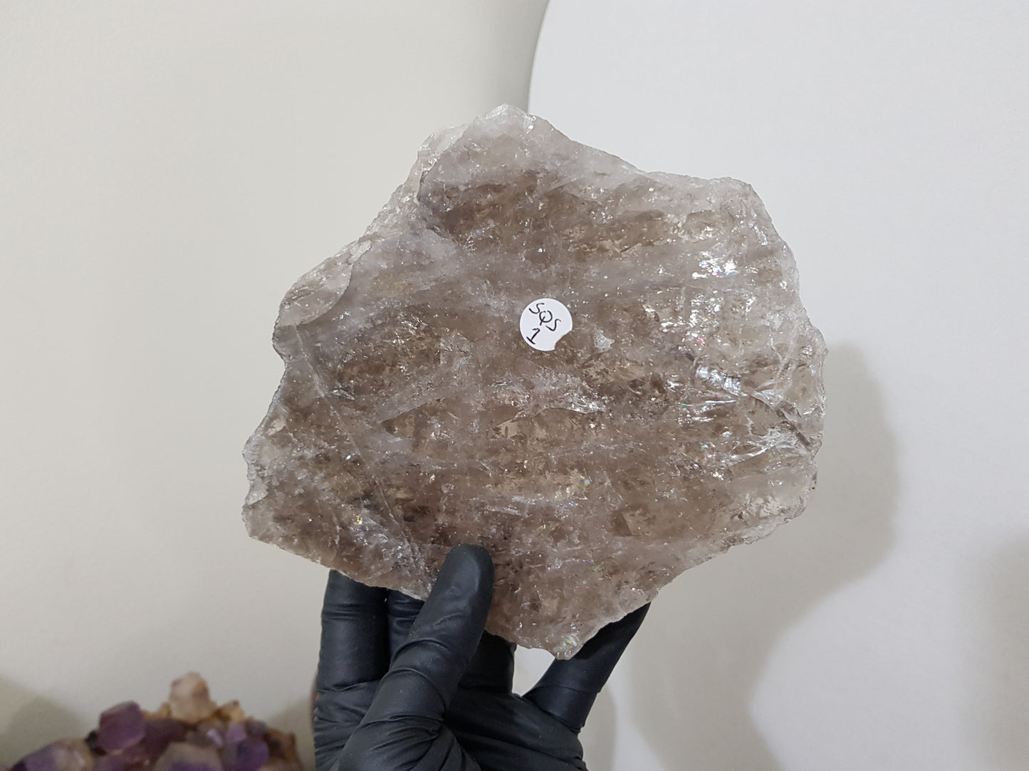 A gloved hand holding a large Smoky Quartz crystal slice that is approximately 15.5cm by 14cm in size