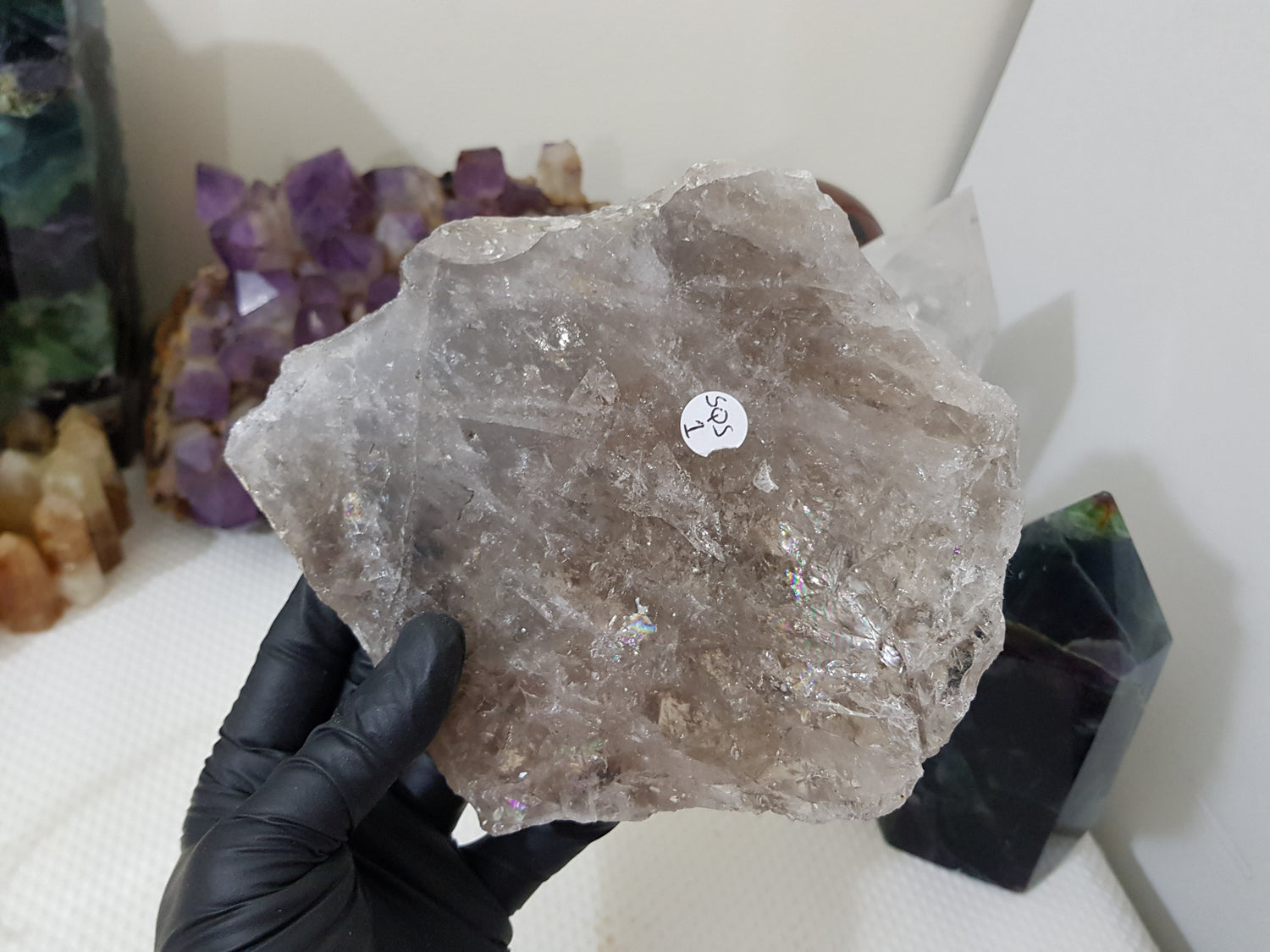 A gloved hand holding a large Smoky Quartz crystal slice that is approximately 15.5cm by 14cm in size