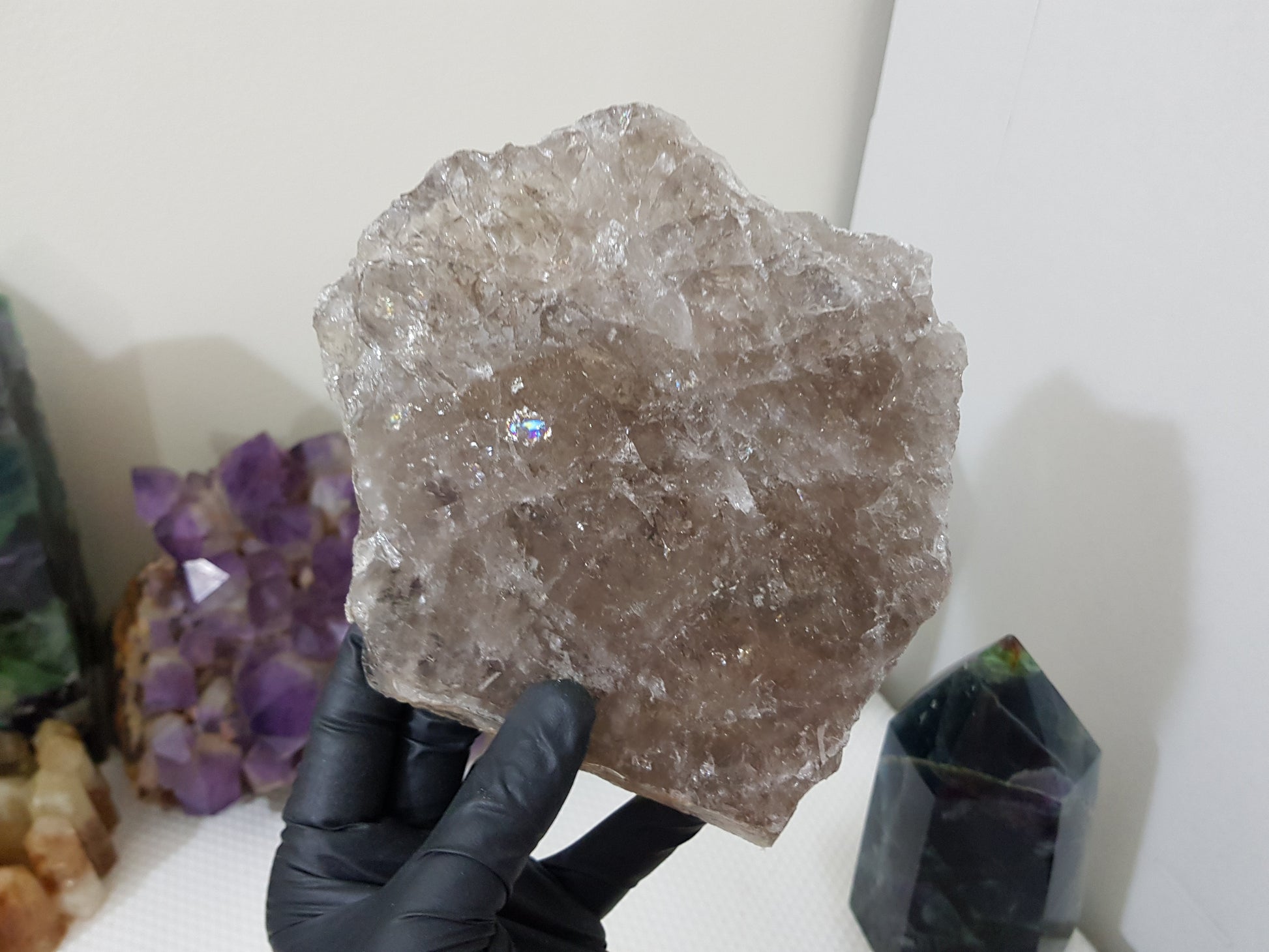 A gloved hand holding a large Smoky Quartz crystal slice that is approximately 15.5cm by 14cm in size