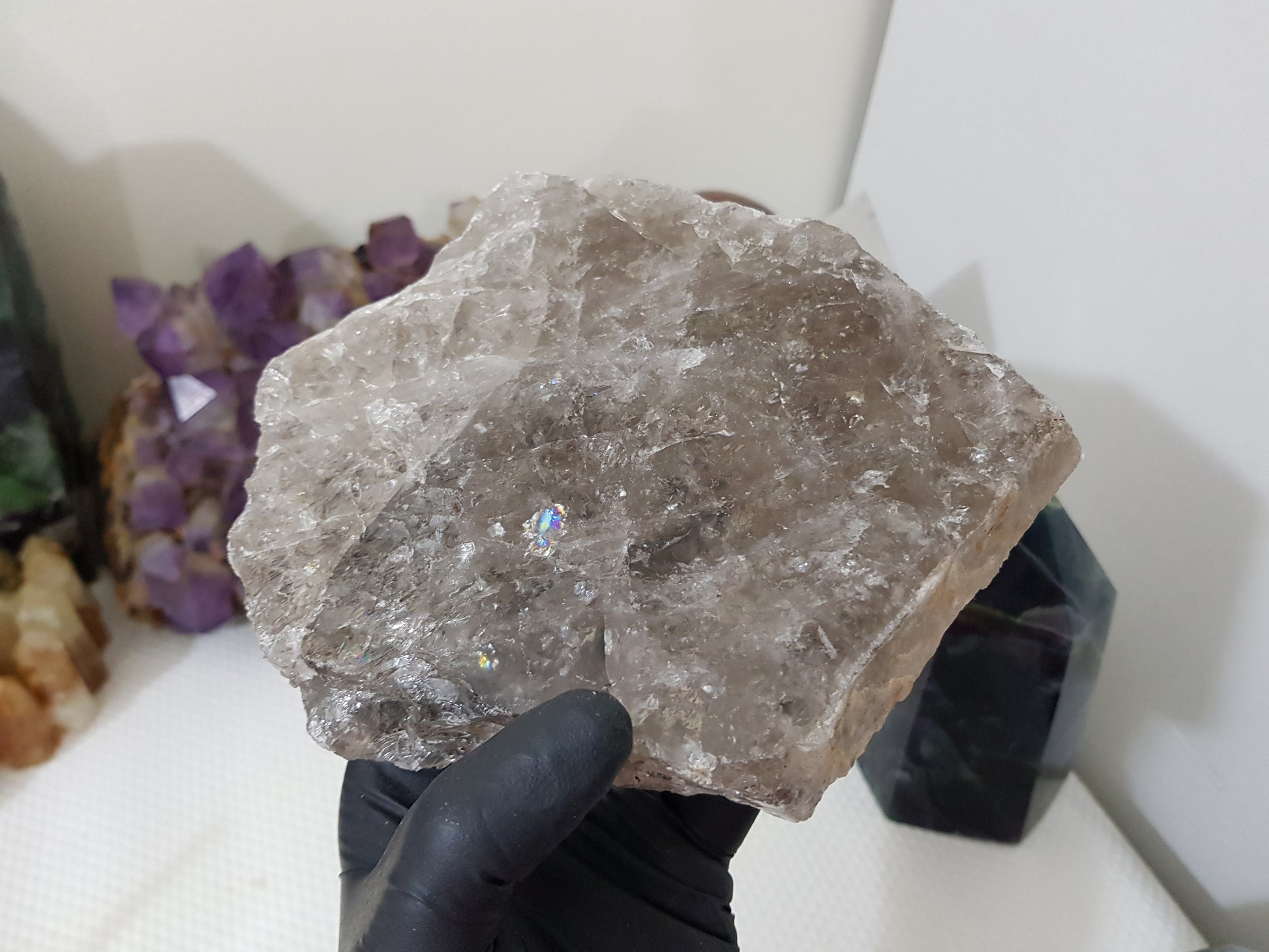 A gloved hand holding a large Smoky Quartz crystal slice that is approximately 15.5cm by 14cm in size