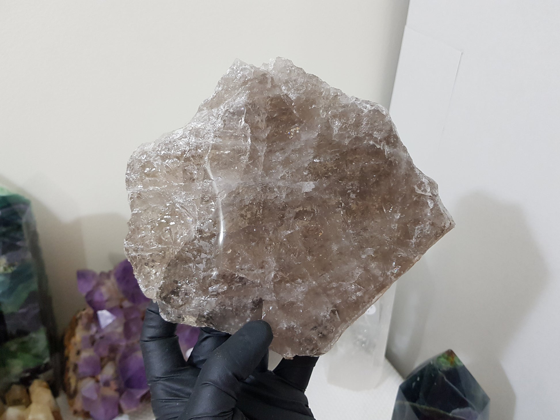A gloved hand holding a large Smoky Quartz crystal slice that is approximately 15.5cm by 14cm in size