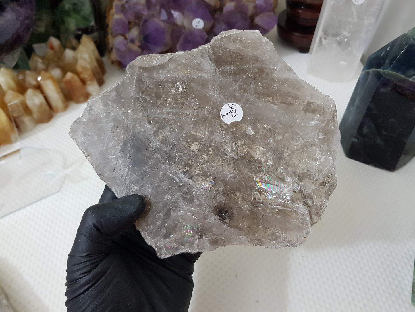 A gloved hand holding a large Smoky Quartz crystal slice that is approximately 15.5cm by 14cm in size