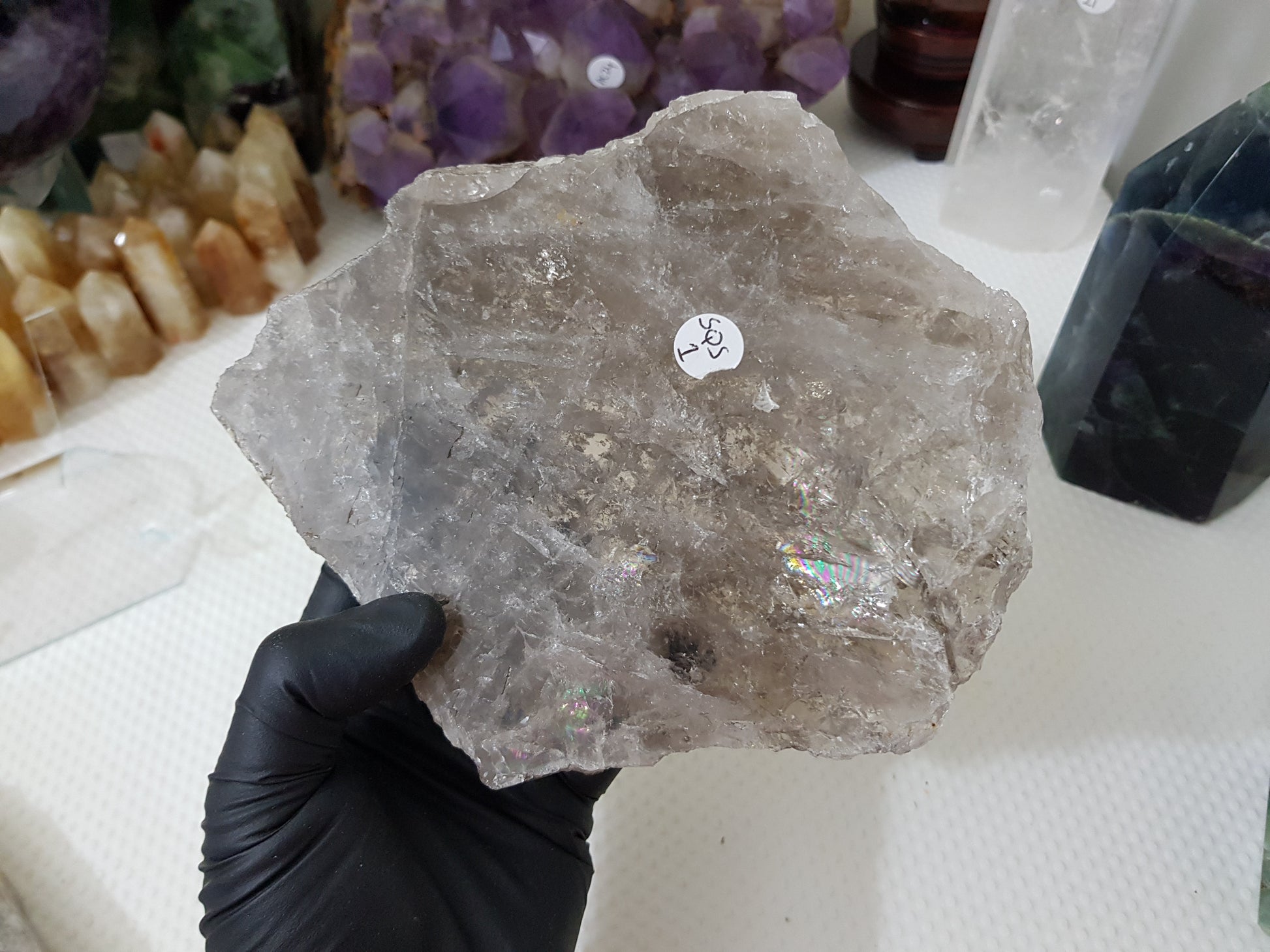A gloved hand holding a large Smoky Quartz crystal slice that is approximately 15.5cm by 14cm in size