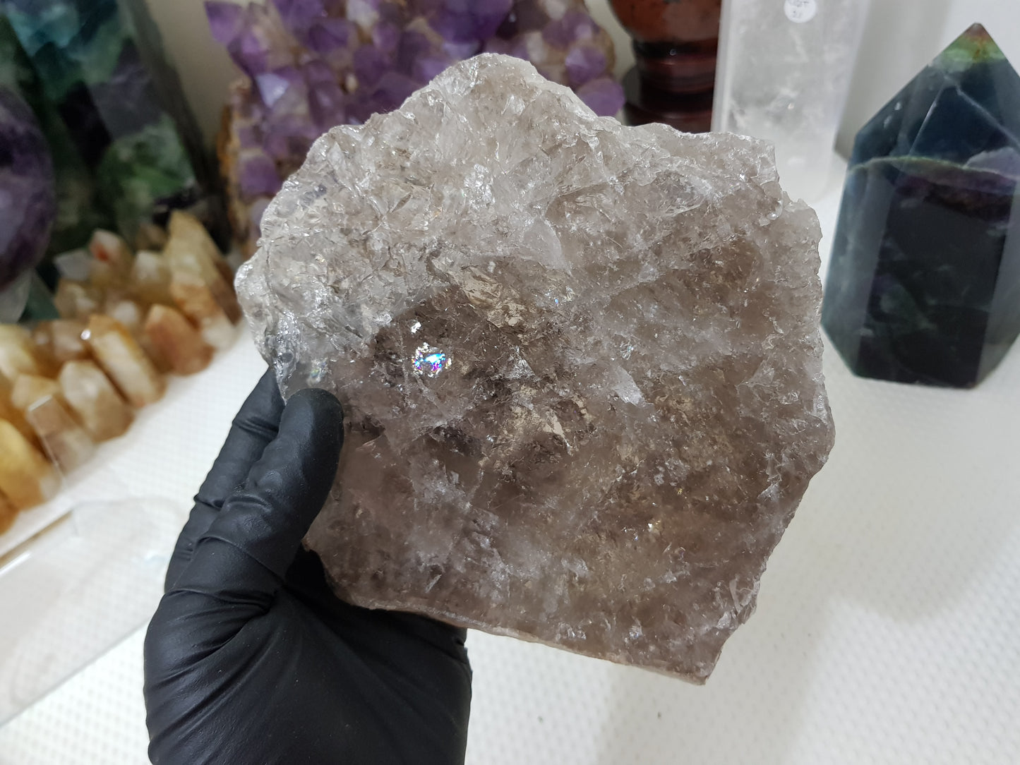 A gloved hand holding a large Smoky Quartz crystal slice that is approximately 15.5cm by 14cm in size
