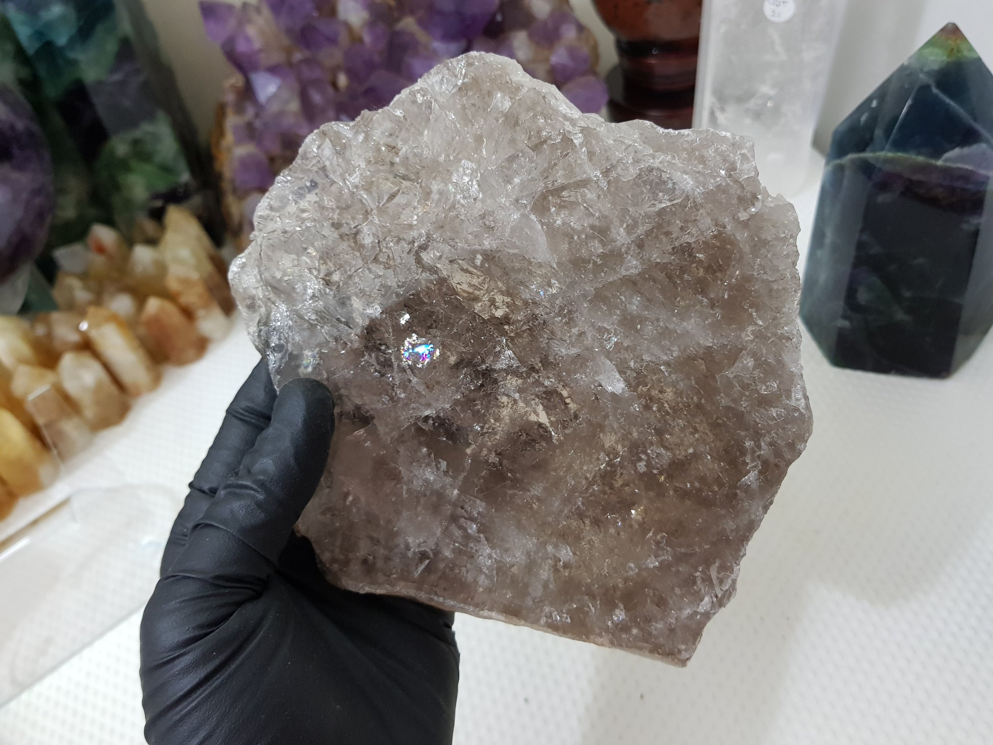 A gloved hand holding a large Smoky Quartz crystal slice that is approximately 15.5cm by 14cm in size