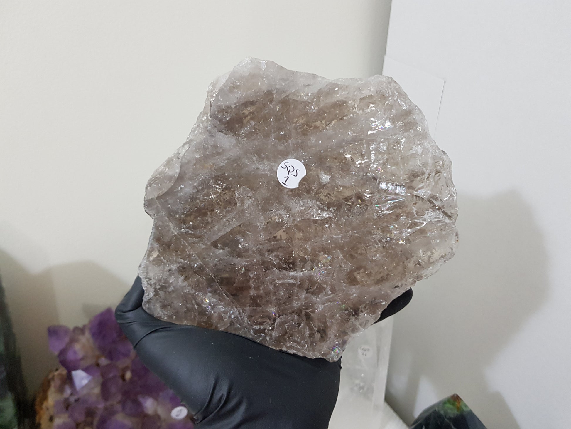 A gloved hand holding a large Smoky Quartz crystal slice that is approximately 15.5cm by 14cm in size