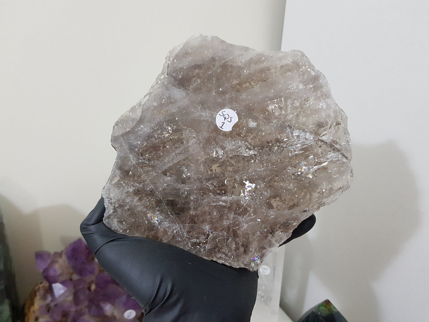 A gloved hand holding a large Smoky Quartz crystal slice that is approximately 15.5cm by 14cm in size