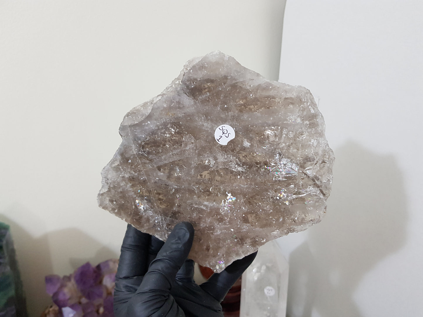 A gloved hand holding a large Smoky Quartz crystal slice that is approximately 15.5cm by 14cm in size