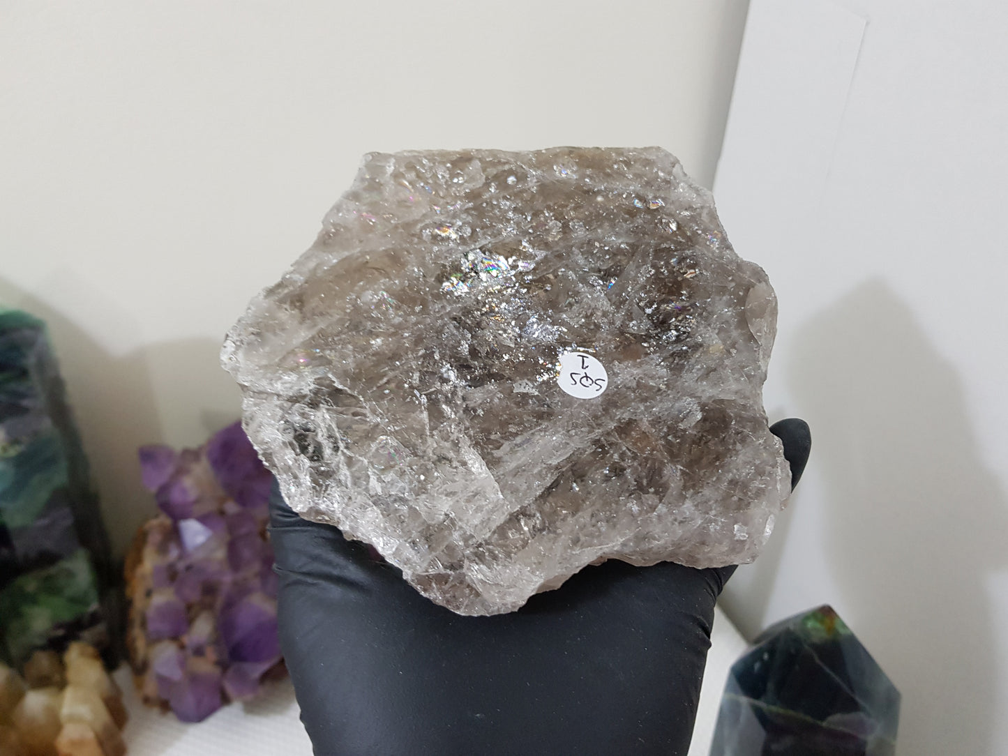 A gloved hand holding a large Smoky Quartz crystal slice that is approximately 15.5cm by 14cm in size