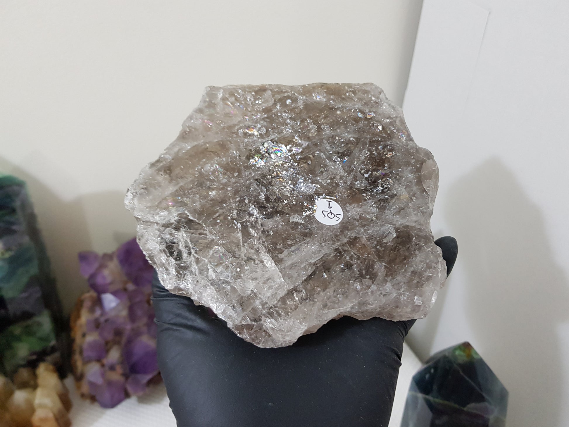A gloved hand holding a large Smoky Quartz crystal slice that is approximately 15.5cm by 14cm in size