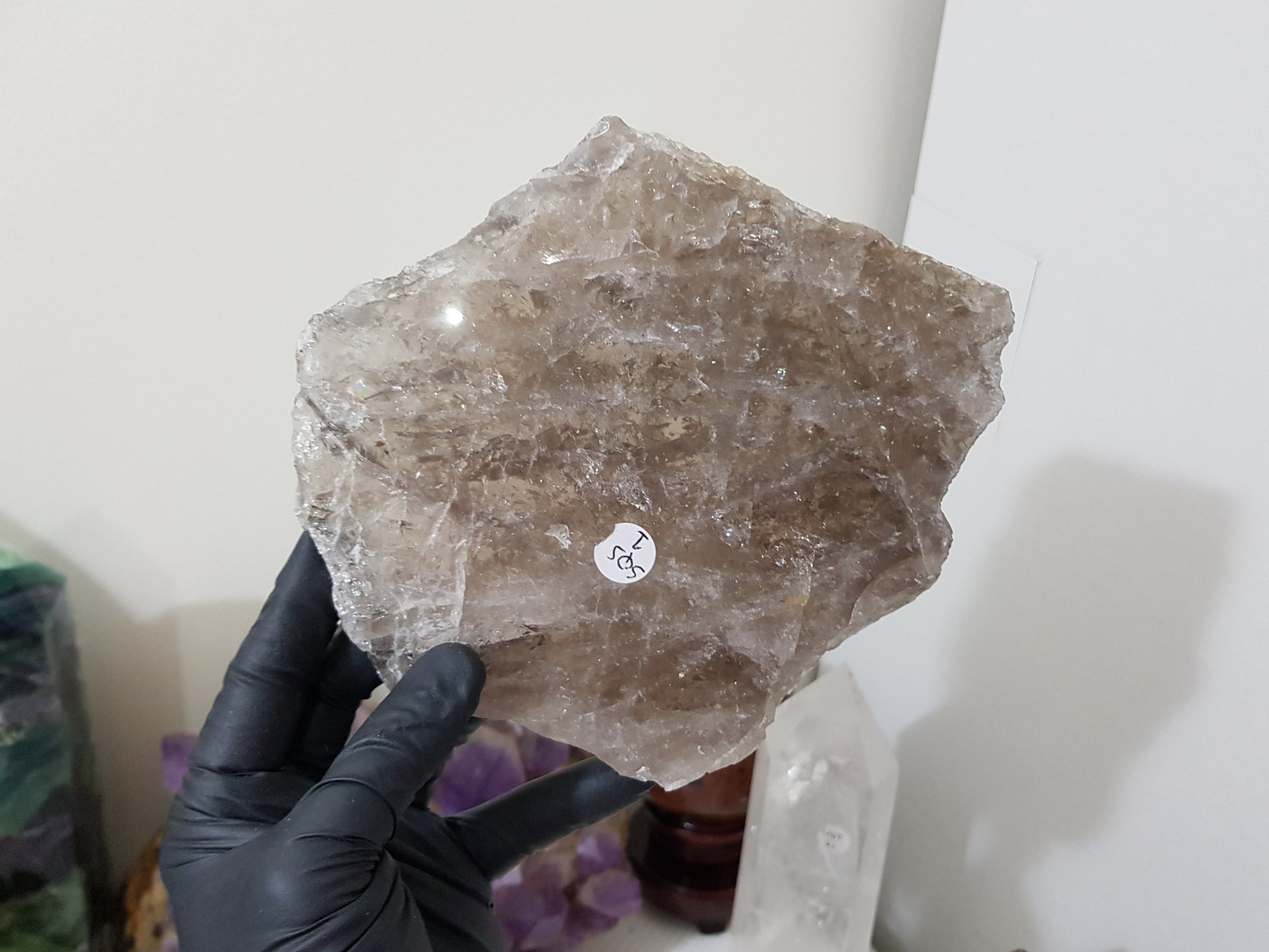 A gloved hand holding a large Smoky Quartz crystal slice that is approximately 15.5cm by 14cm in size